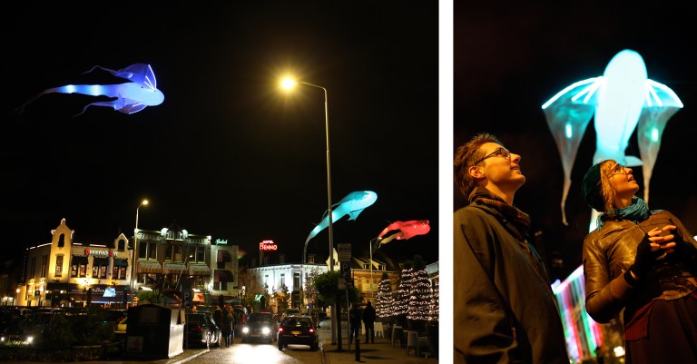 porte par la vent - kites