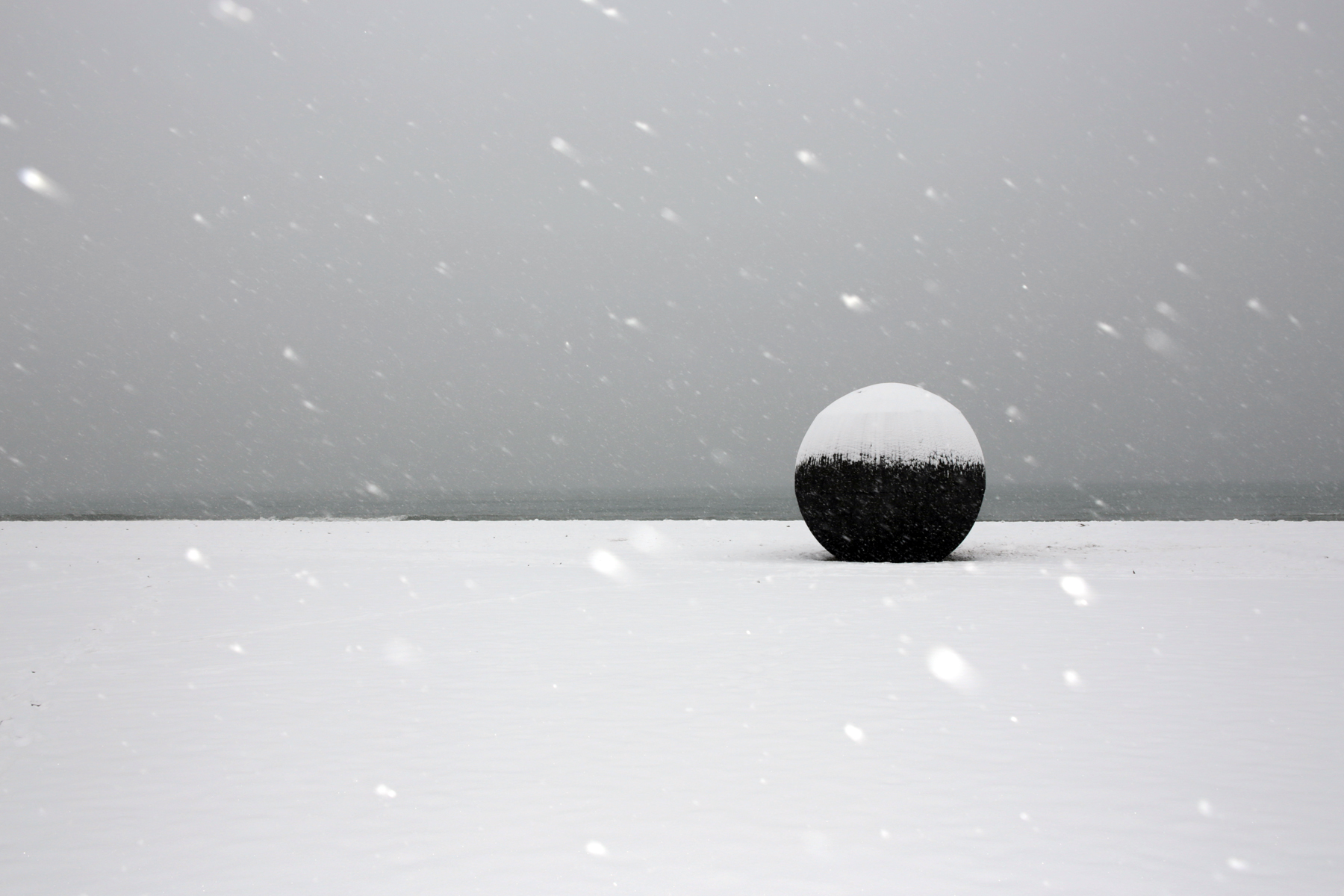 01 In the Belly of a Bear - promo image