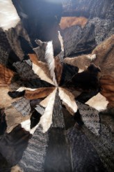 04 In the Belly of a Bear - promo image