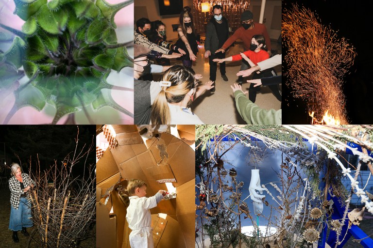 Dreams of We Who Wake to Sleep