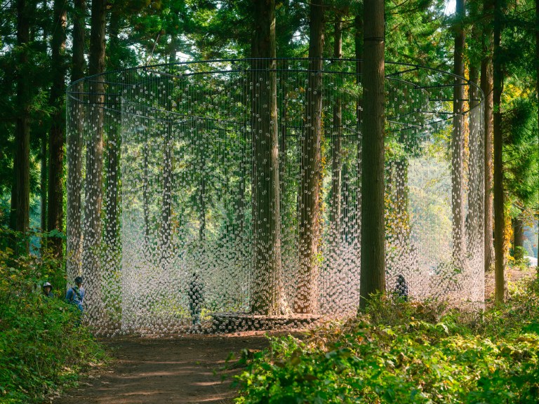 A Whisper in the Eye of the Storm